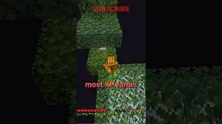 EASY early game XP! 