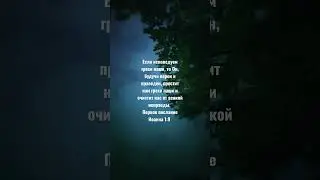 Если исповедуем грехи наши, то Он, будучи верен и праведен, простит нам грехи наши