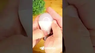 Дешёвая ZigBee розетка.