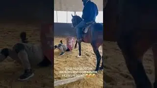 ЛОШАДКА ПОГЛАДИЛА МЕНЯ 😁