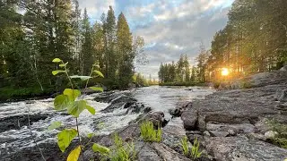 1/5 Сплав по реке Кузема в Белое море Июль 2023