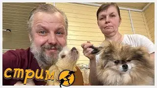 Вечерний стрим, отвечаем на ваши вопросы, делимся новостями 07.06.2024