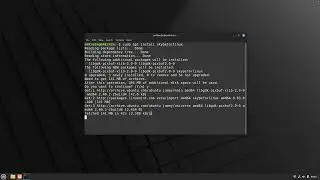 How to Install Skype on Linux Mint 21