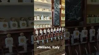 8 giugno 2024