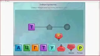 ДНК и РНК. Подготовка к ЕГЭ и ОГЭ по биологии