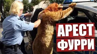 АРЕСТ и СУД над ФУРРЯМИ ✅ Арестовали пятерых на прогулке