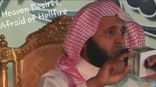 Don't Miss This! full by Mansour Al Salmi