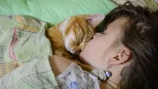 Наши пушистые друзья, ми-ми-ми....