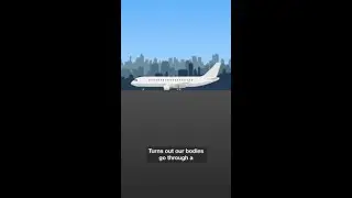 What happens to your body during a flight