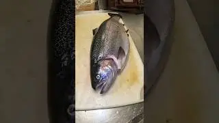 The Problem with Farming Fish… #shorts #fishing