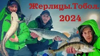 Бомбический клев на Жерлицы. Тобол 2024