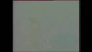 Топ 5 Пародий Телекомпании ВИД
