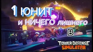 1 ЮНИТ в Tower Difence! Невозможный челенлдж! Roblox TDS| Импер Слагер