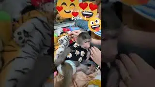 массаж в 4 руки, принцесса Ники отдыхает