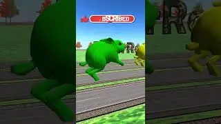 Cute Rabbit Race , Rabbit Racing