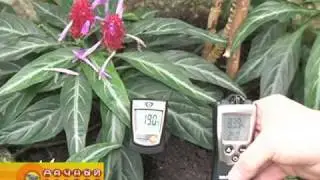 Измерительная техника для теплиц