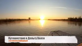 Дельта глазами  #оставаясьсвободным