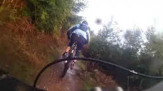 Cannock Chase March 2017