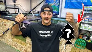 Catching FISH to put in My POND!!