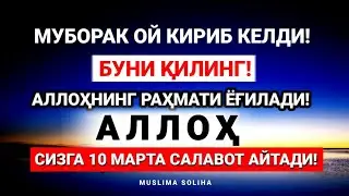 ДИҚҚАТ! УЛУҒ ОЙ БОШЛАНДИ! БУНИ ҚИЛИНГ! АЛЛОҲНИНГ РАҲМАТИ ЁҒИЛАДИ!  АЛЛОҲ СИЗГА САЛАВОТ АЙТАДИ