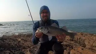 Pêche du Bar, qu'est-ce qui m'as fait prendre ce poisson ??