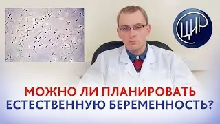 Плохая спермограмма и замершая беременность. можно ли планировать естественную беременность?