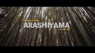 The Famous Bamboo Forest in Kyoto | Day 7 |  (Sony A7C + Tamron 20-40mm F2.8) | Part 2