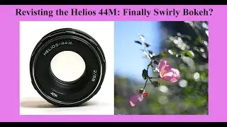 Revisiting the Helios 44M: Finally Swirly Bokeh?