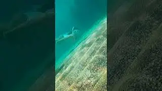 Curtindo o Paraiso