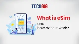 What is eSim and how does it work?