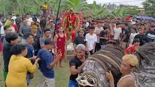 Macan-Macanan Joyo Kusumo Live Lapangan Desa Licin