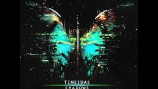 Tineidae - Be heavier