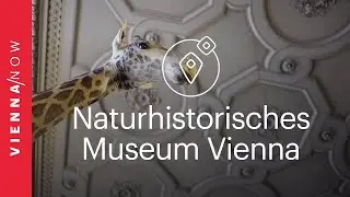 Natural History Museum Vienna