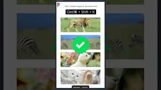 👉 How to Add Multiple Images at Once in Figma | Figma Shortcut Tips