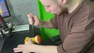 ТИК ТАК УБИЛ ГРИБ😭