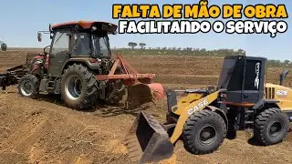 PREPARO PARA PLANTIO DO CAFÉ, PODA DA LAVOURA