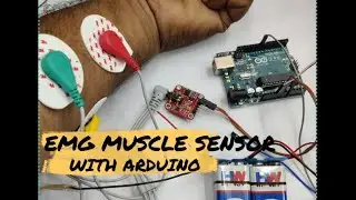 EMG Muscle Sensor Module with Arduino