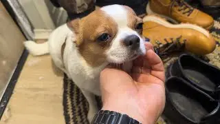 She almost cried when we gave her to a new family!