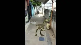 Jurassic world T rex / green screen video