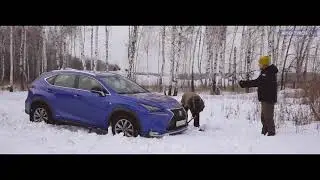 Как вызволить автомобиль из снежного плена с помощью подручных средств