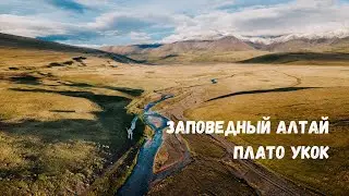 Заповедный Алтай: Плато Укок