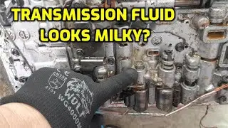 TRANSMISSION FLUID LOOKS MILKY? (STRAWBERRY MILK SHAKE?) HERE IS WHY