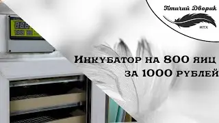 Инкубатор на 800 яиц за 1000 рублей