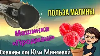 продмаш закаточная машинка / польза малины 👍