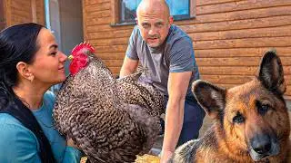 Life in the village. There won't be a garden, chickens, greenhouses, or cats in the homestead, but t