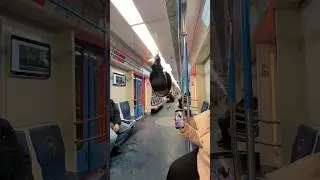 ЖДУ ЕЩЕ ЗАДАНИЕ В КОММЕНТЫ | 