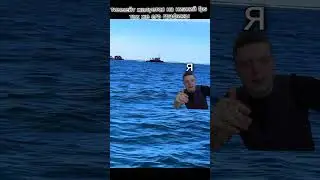 графика твоего тиммейта 