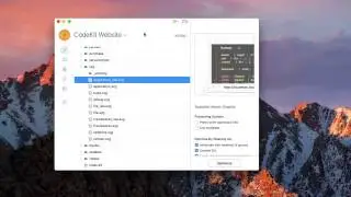 CodeKit 3: Optimizing SVGs