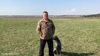 Рони. Небольшая тренировка в поле