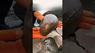 Челябинский Лесник стал миллионером 😳